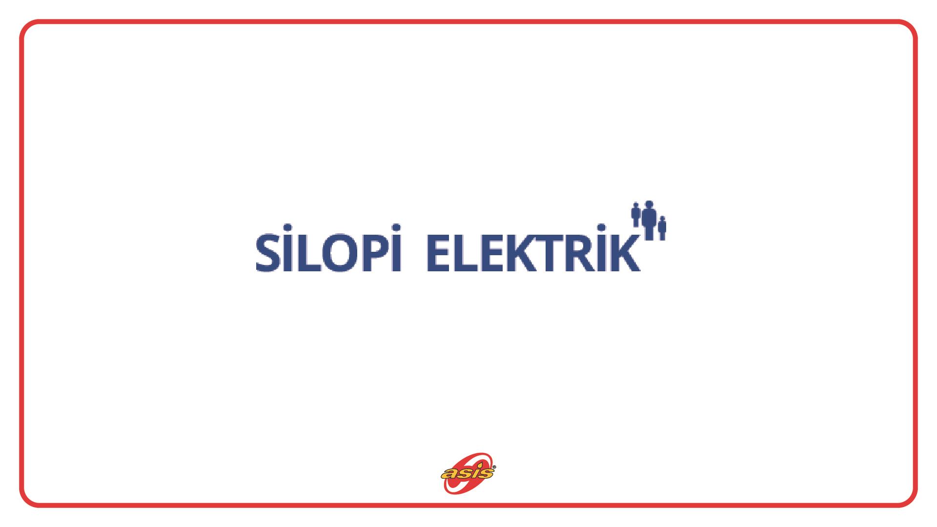 Asis Otomasyon Sistemlerinin Yeni Kullanıcısı Silopi Elektrik Oldu